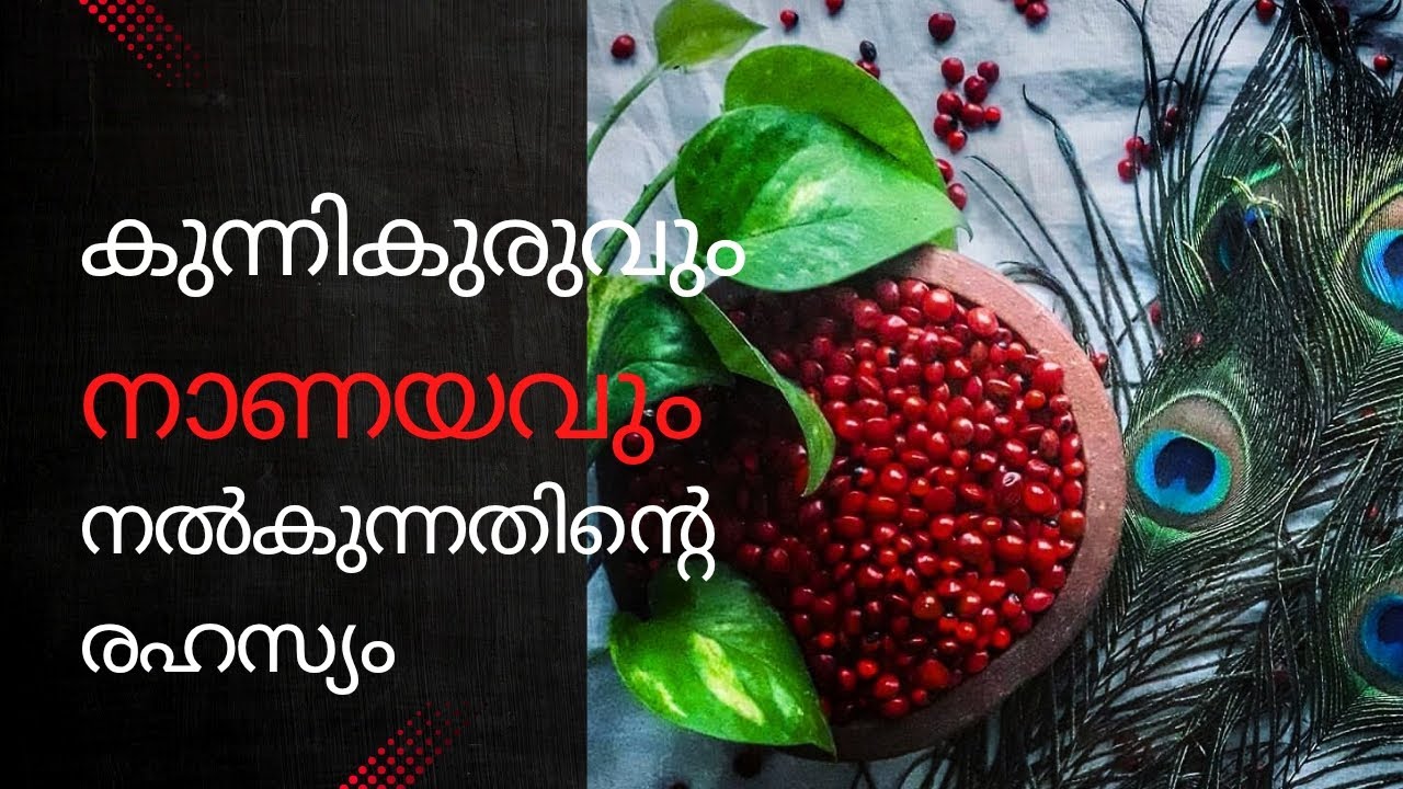 കുന്നിക്കുരുവിൽ രാധാകൃഷ്ണ സാന്നിധ്യമോ #trending  #spirituality ##trendingvideo 
