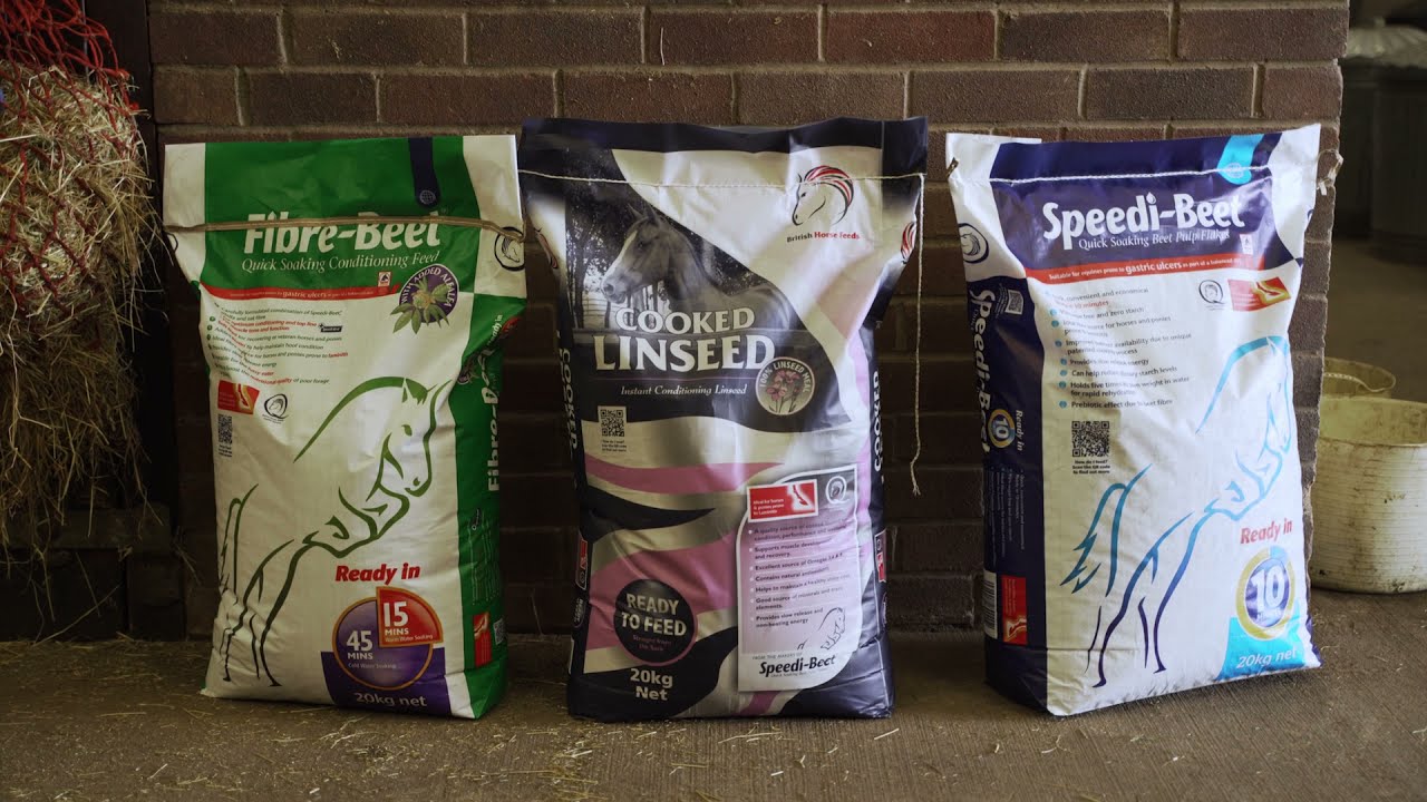 Benefits of feeding Fibre-Beet to ulcer prone horses and ponies.