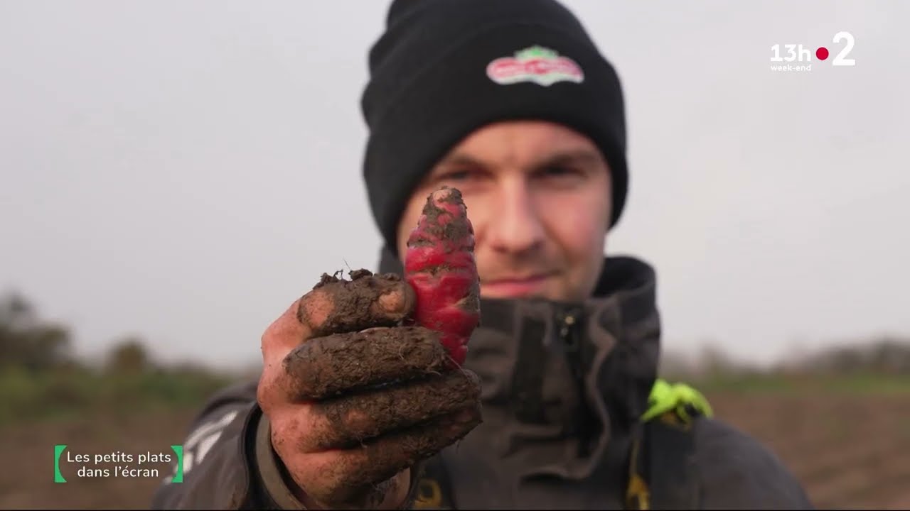 F2, Les petits plats dans l'écran, L'oca du Pérou, février 2024