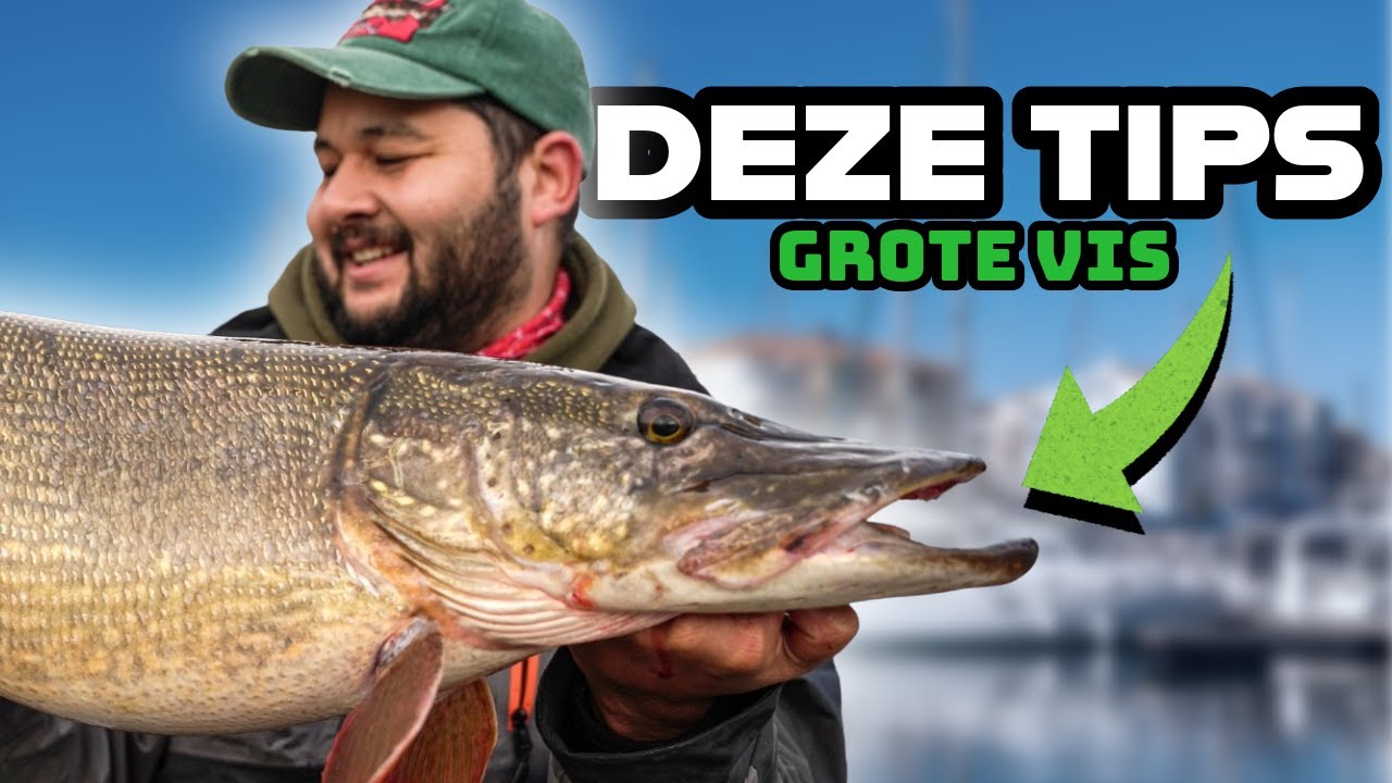 METERVIS | Doodaas Snoekvissen met Dobber