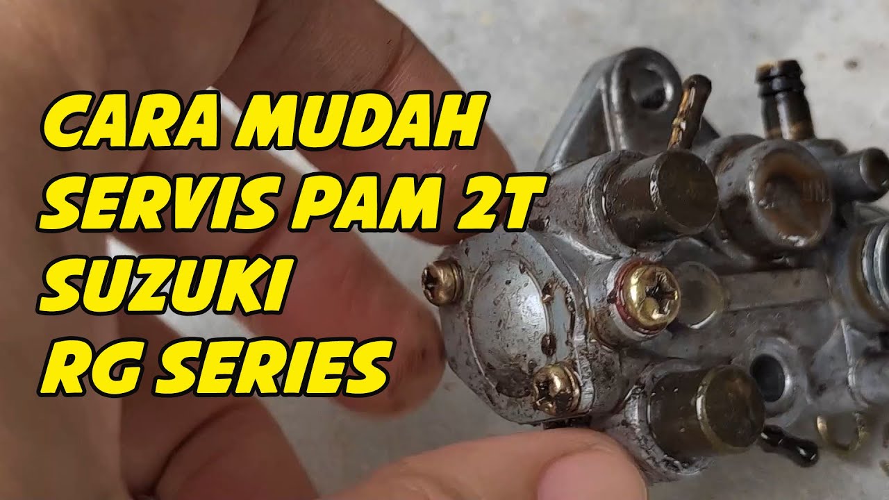 2 Stroke Oil Pump Servicing