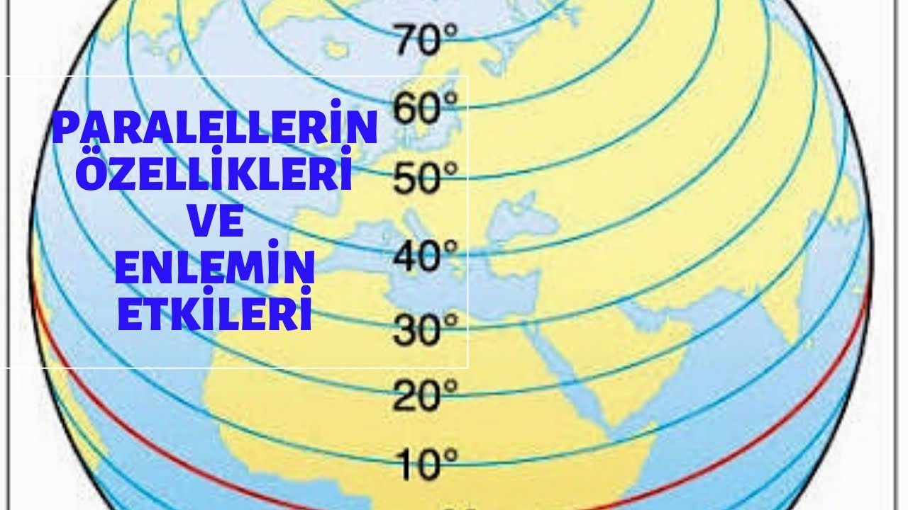 Paralellerin Özellikleri