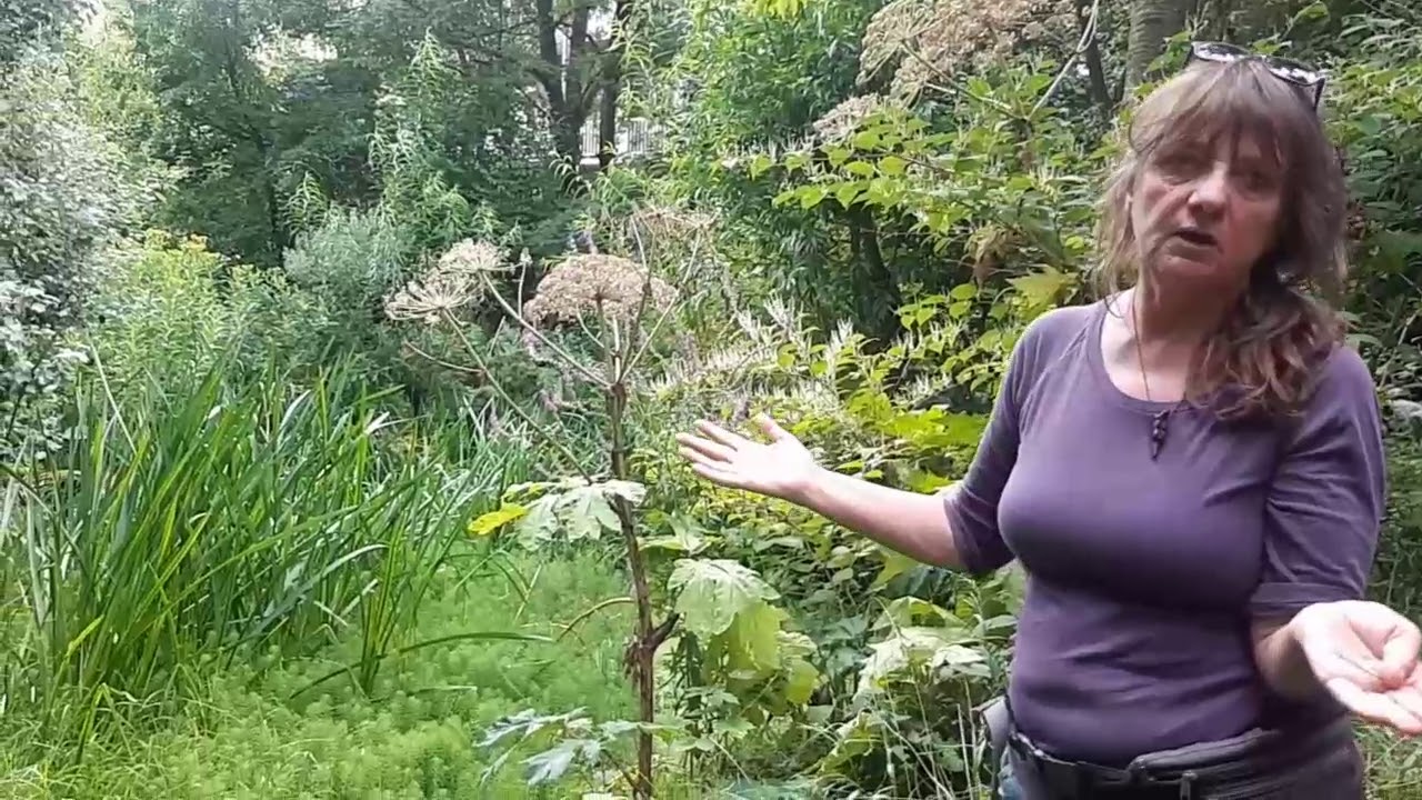 Stadsbos en natuurtuin