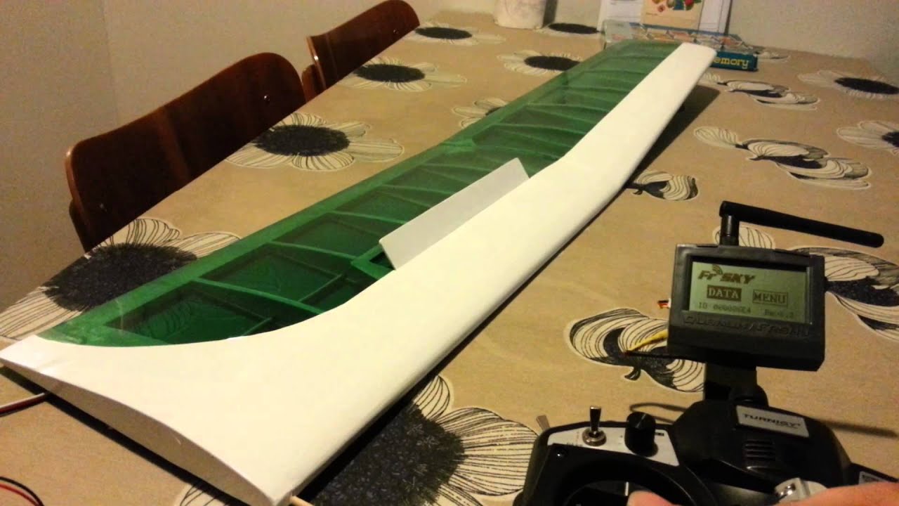 Sig Riser 2m: finished wing and spoiler