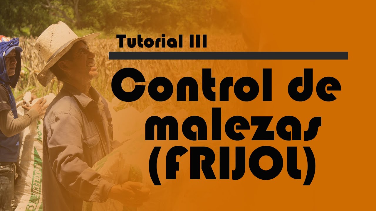 Tutorial 3 frijol: CONTROL DE MALEZAS
