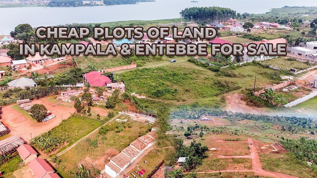 LAND BUYING IN UGANDA IS RIDDELED WITH CONMEN AND FRAUDSTERS// HERE ARE A FEW TIPS TO CONSIDER