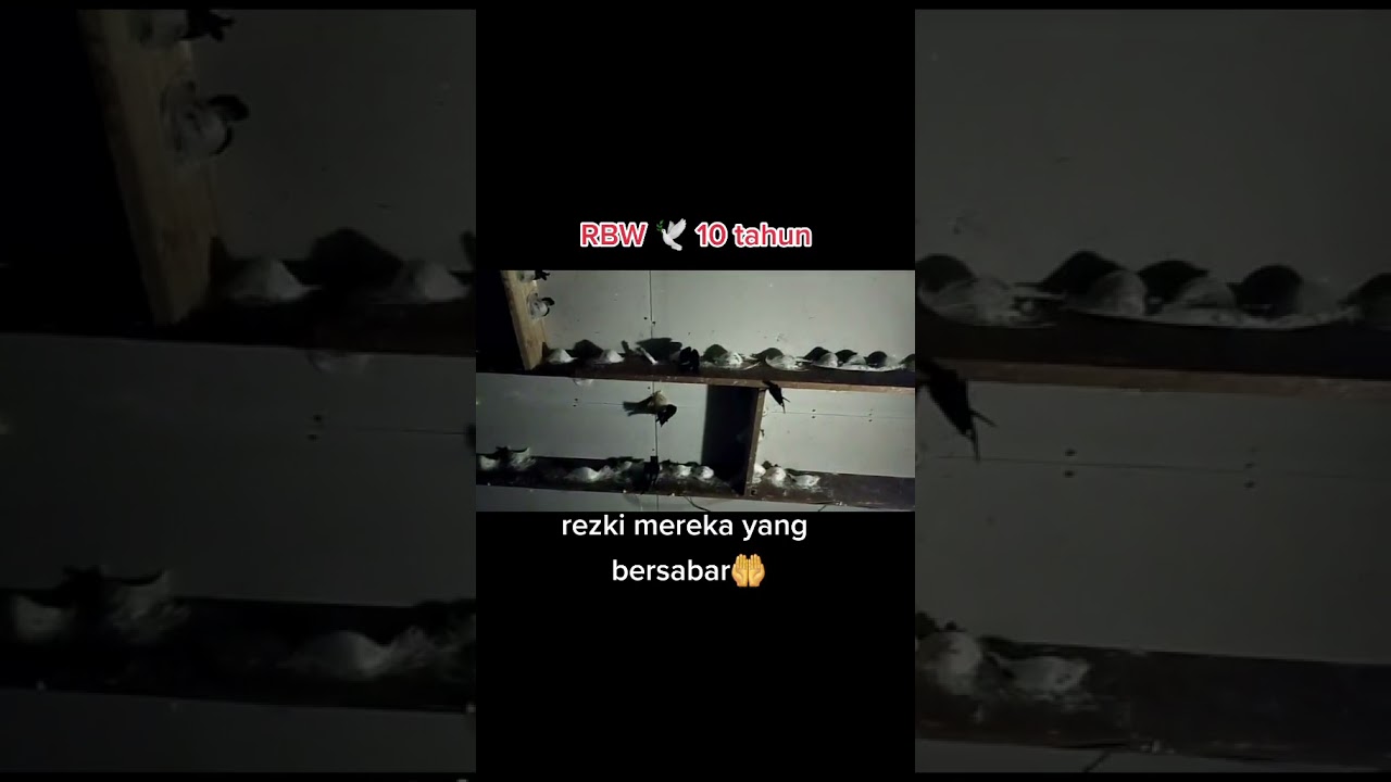 Rbw 10 tahun baru sukses