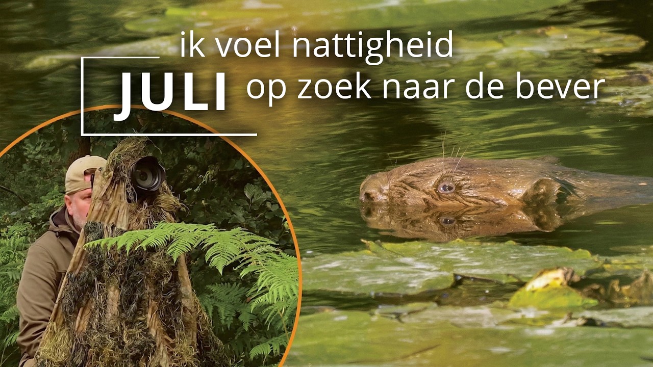 #111 - JULI - ik voel nattigheid - op zoek naar de bever