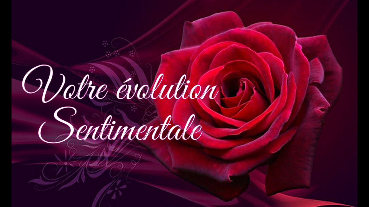 🌺 Évolution sentimentale 🌺 Question Intemporelle #22