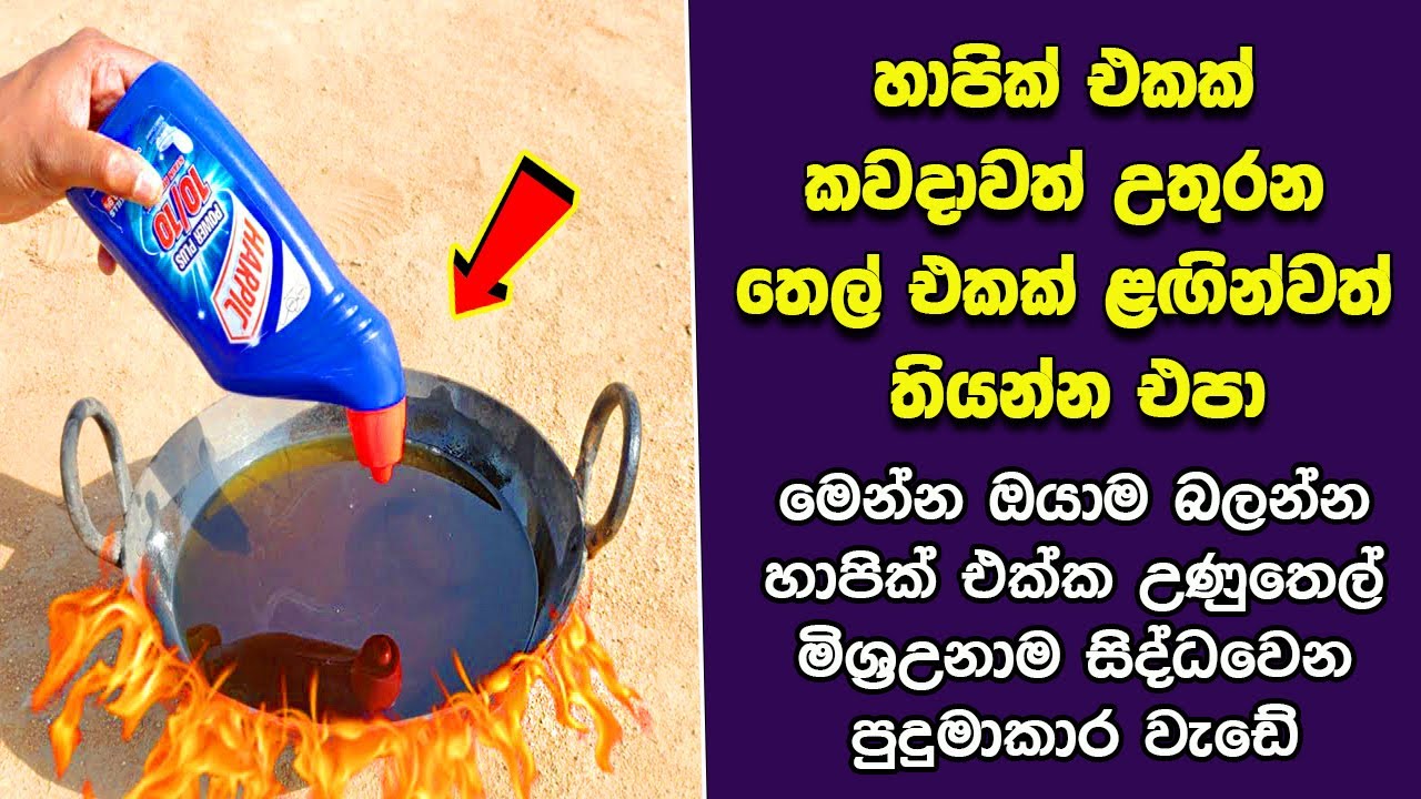 ඔබ මේවා දකින්නේ ජිවිතේ පළමු වතාවට EP:380