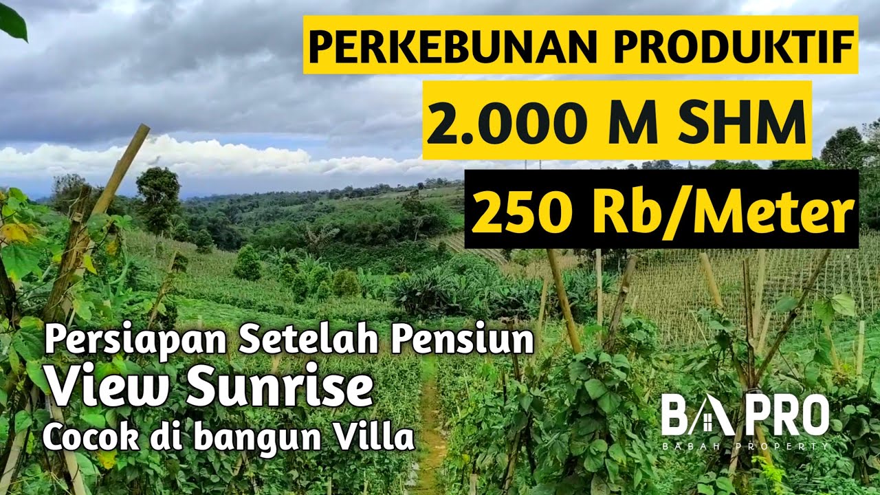 PERKEBUNAN PRODUKTIF 2000 M² SHM AKSES MOBIL 2 ARAH VIEW SUNRISE 