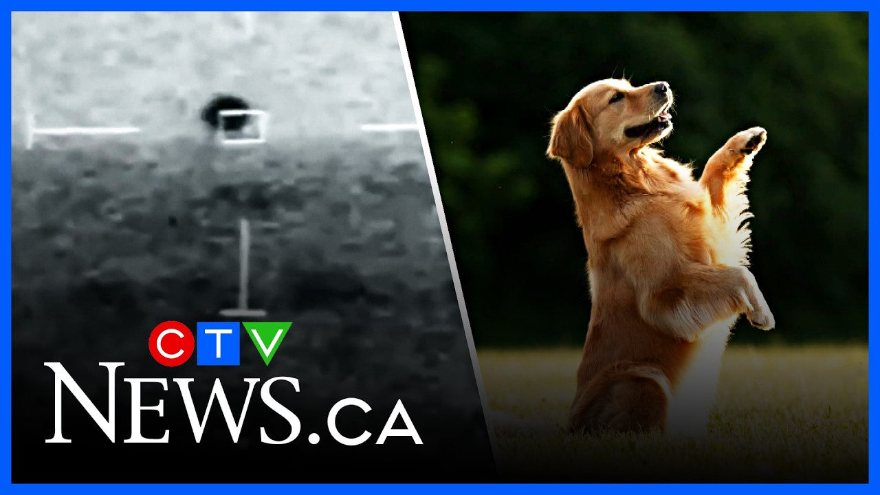 Final Five: UFOs in Canada and Canadian Kennel Club’s top dog