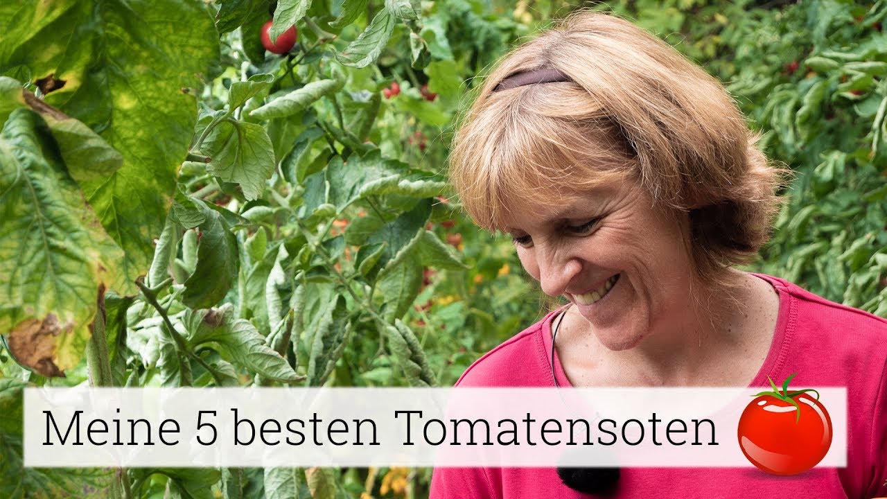 Meine 5 besten Tomatensorten 2019!!!