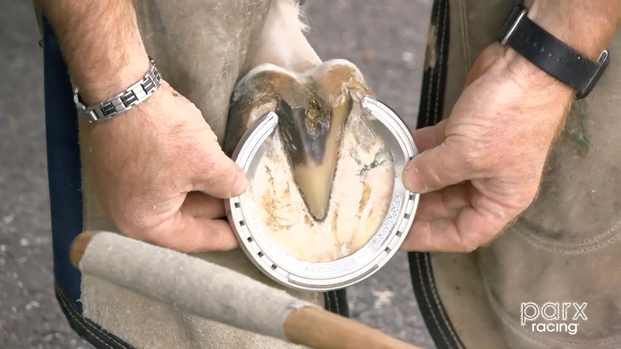Farrier | The Inside Track