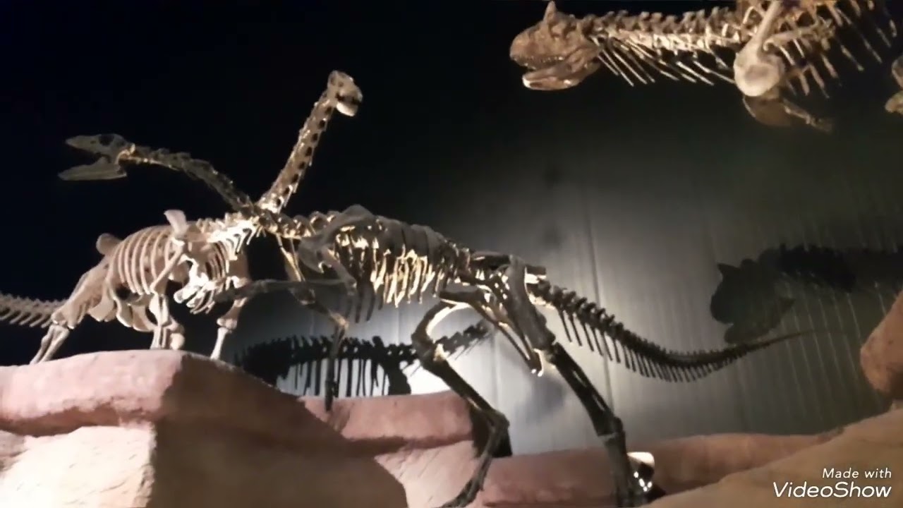 museo paleontologico egidio feruglio trelew chubut