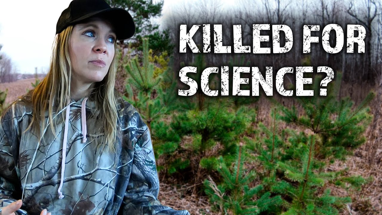 438 How to GROW a New Tree From A DEAD Tree (Not SEED)  *Plus* Meet a Special HAY Customer!