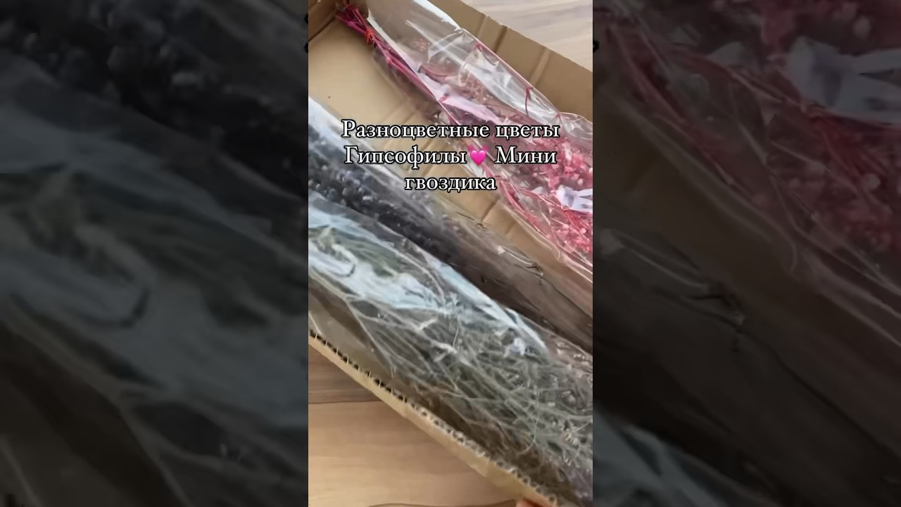 Распаковка цветов Гипсофилы семейство гвоздики💖и обзор моей сушки цветов  #украшения #ручнаяработа