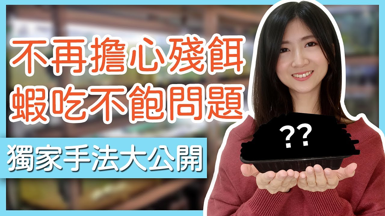 水晶蝦超愛吃！不必擔心殘餌破壞水質，你一定要學會做！｜蝦農人生