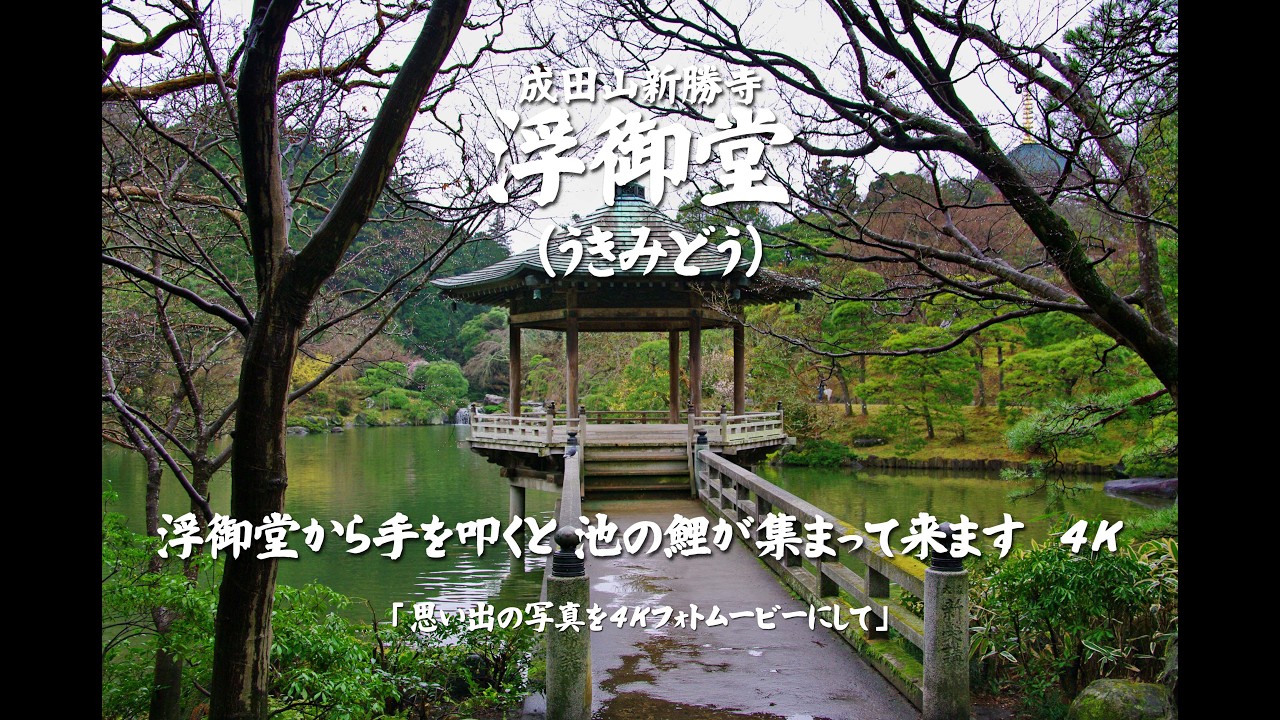 浮御堂（うきみどう）浮御堂から手を叩くと 池の鯉が集まって来ます　４Ｋ