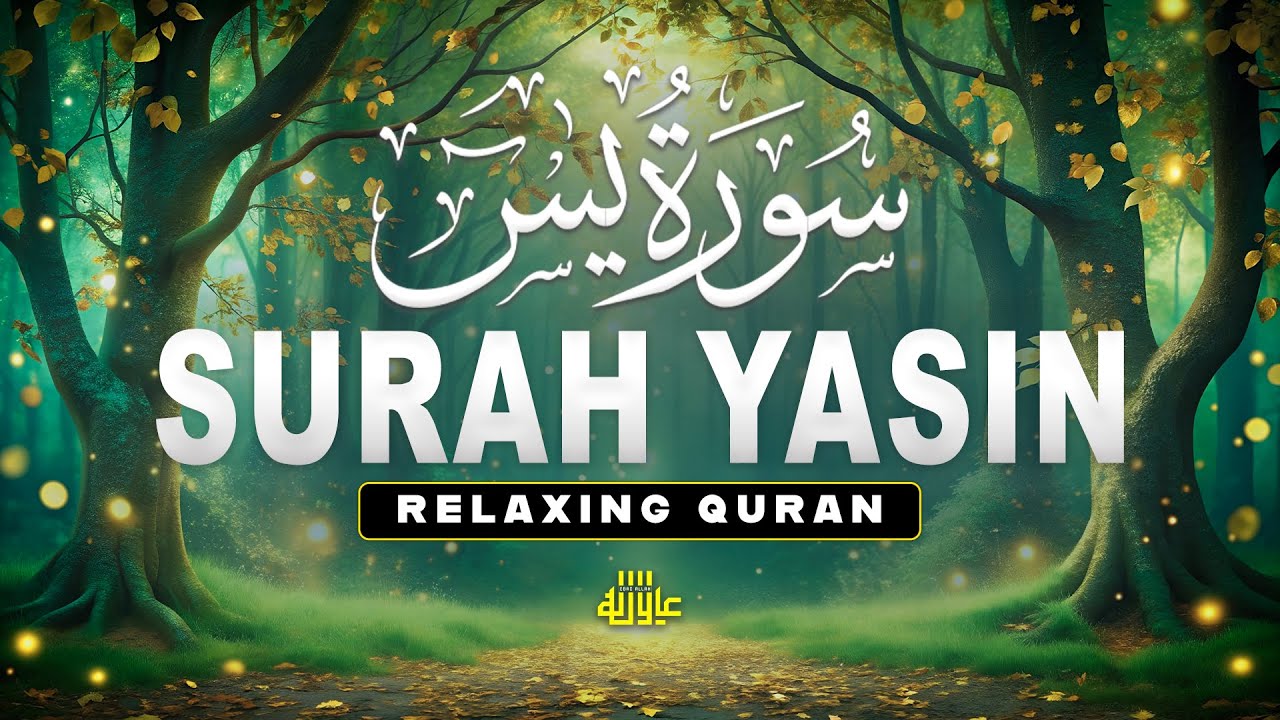 Surah Yaseen سورة يس | Peaceful Quran Tilawah for Deep Sleep & Spiritual Calm | Alaa Aqel