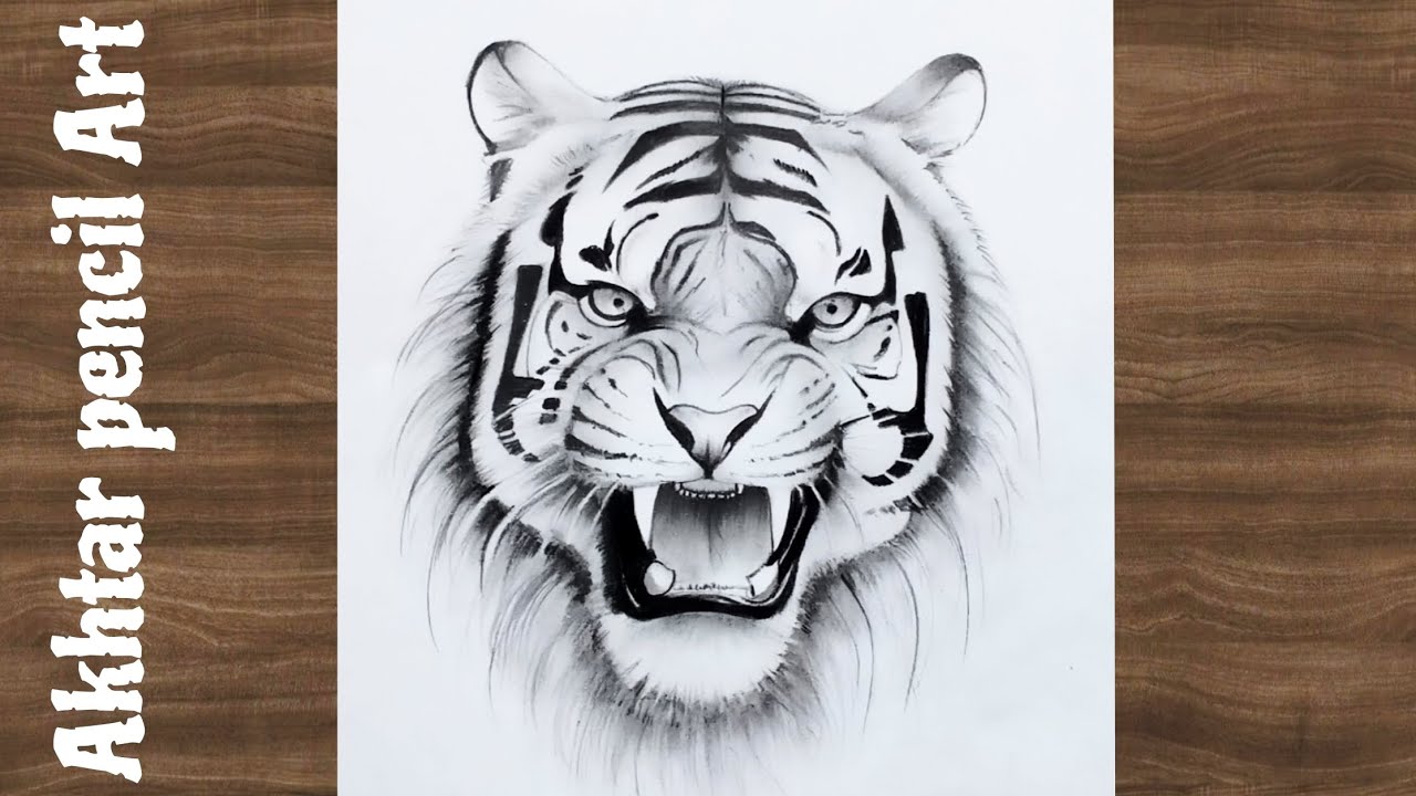Easy And Simple Tiger Face Drawing , How To Draw A Tiger Face Step By Step , Animals Drawing Ideas 