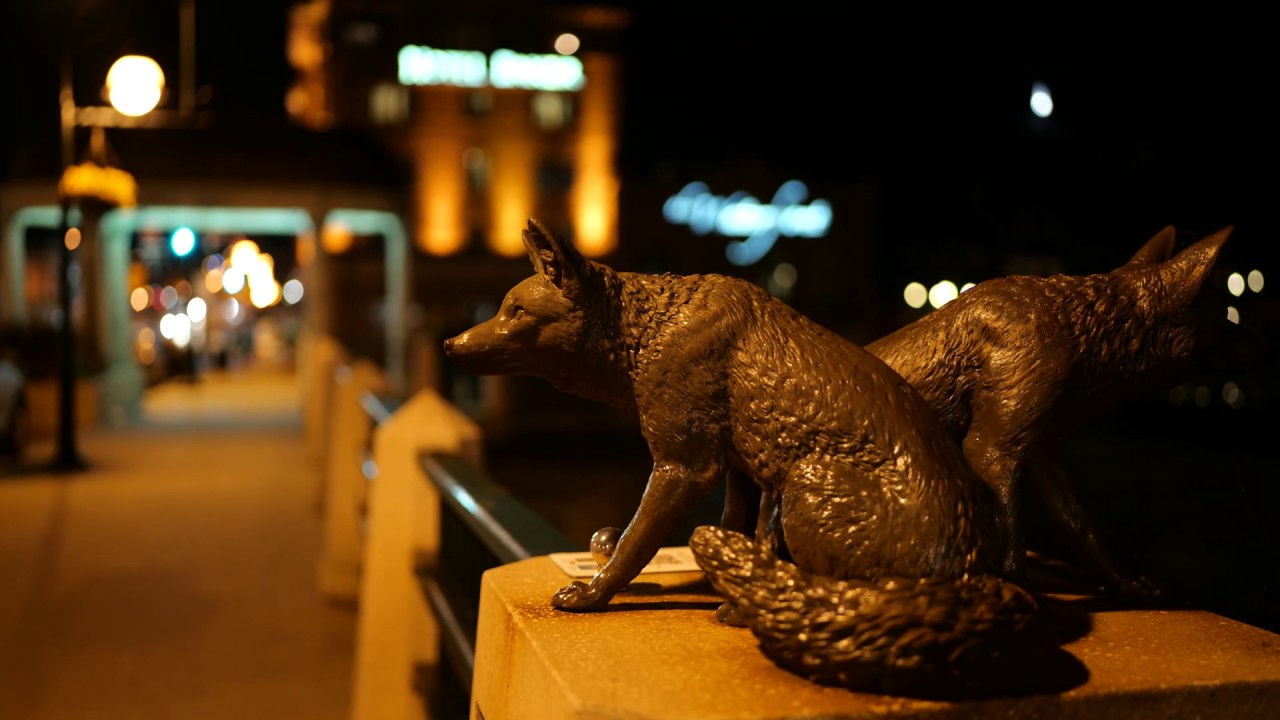 Testing Out The New Sony 32MP A7SIII 6K 60fps Mirrorless Camera