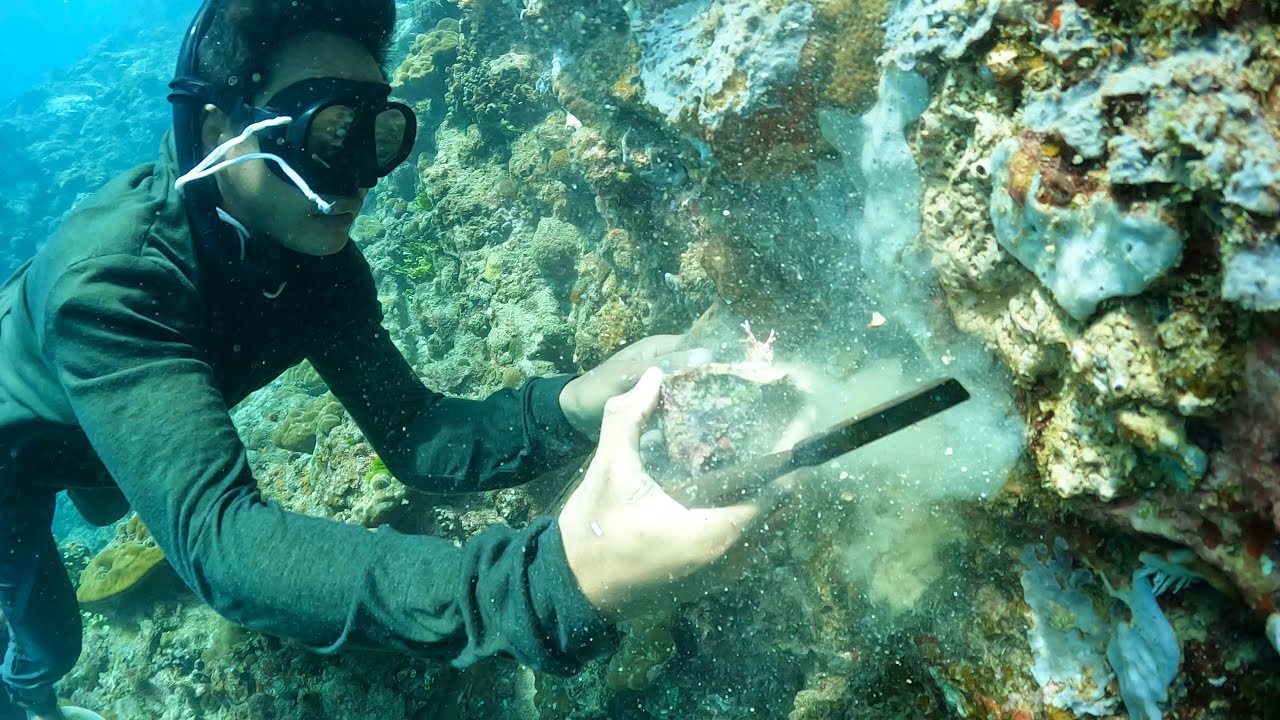 Hindi Nila Napapansin Ito Mabuti Nalang Kami Ang Nakakuha at NakaDiskobre Nito | Catch, Sell & Cook