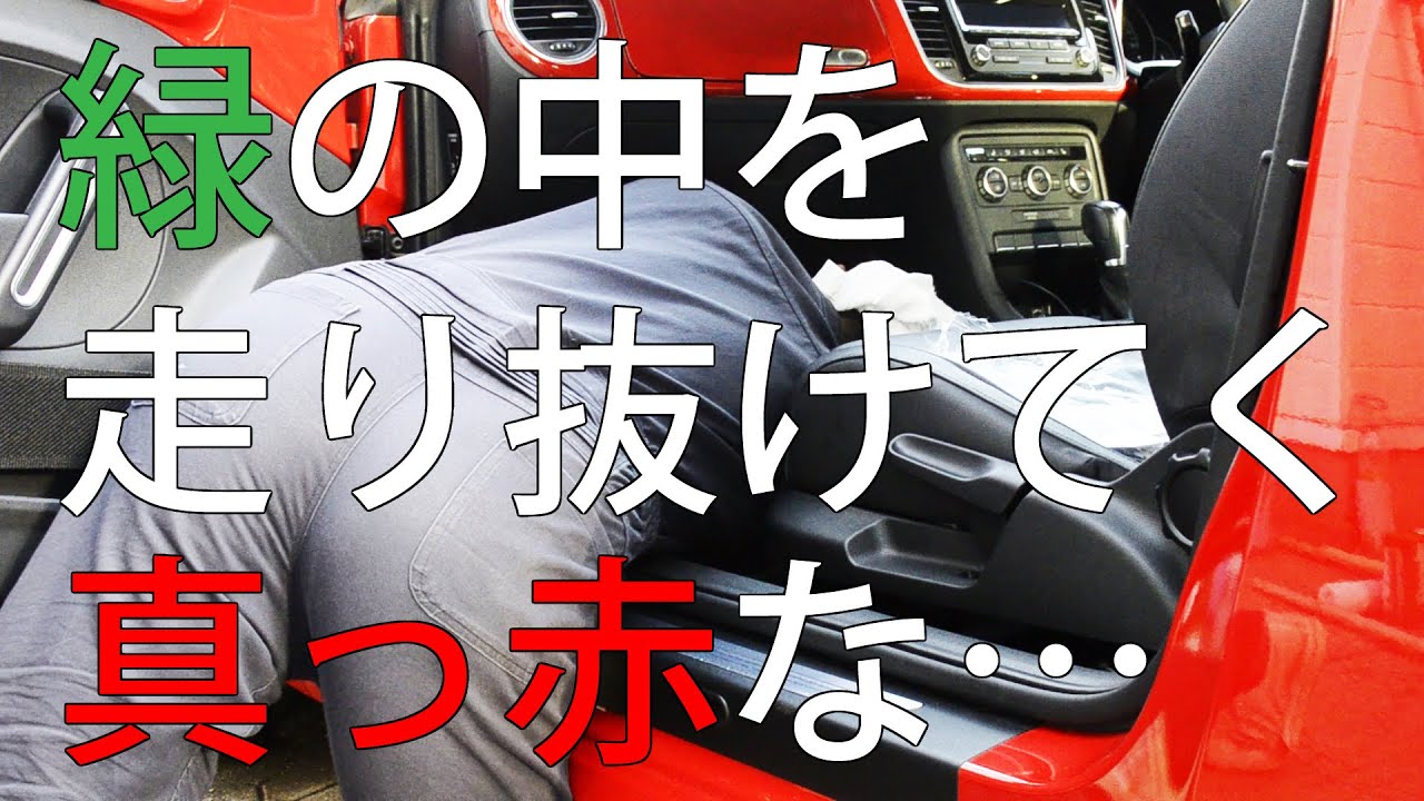 【すぎみつDIY＃069】  120万円ハウスの裏庭・Part2  緑の中を走り抜けてく真っ赤な…　 【セルフリフォーム】