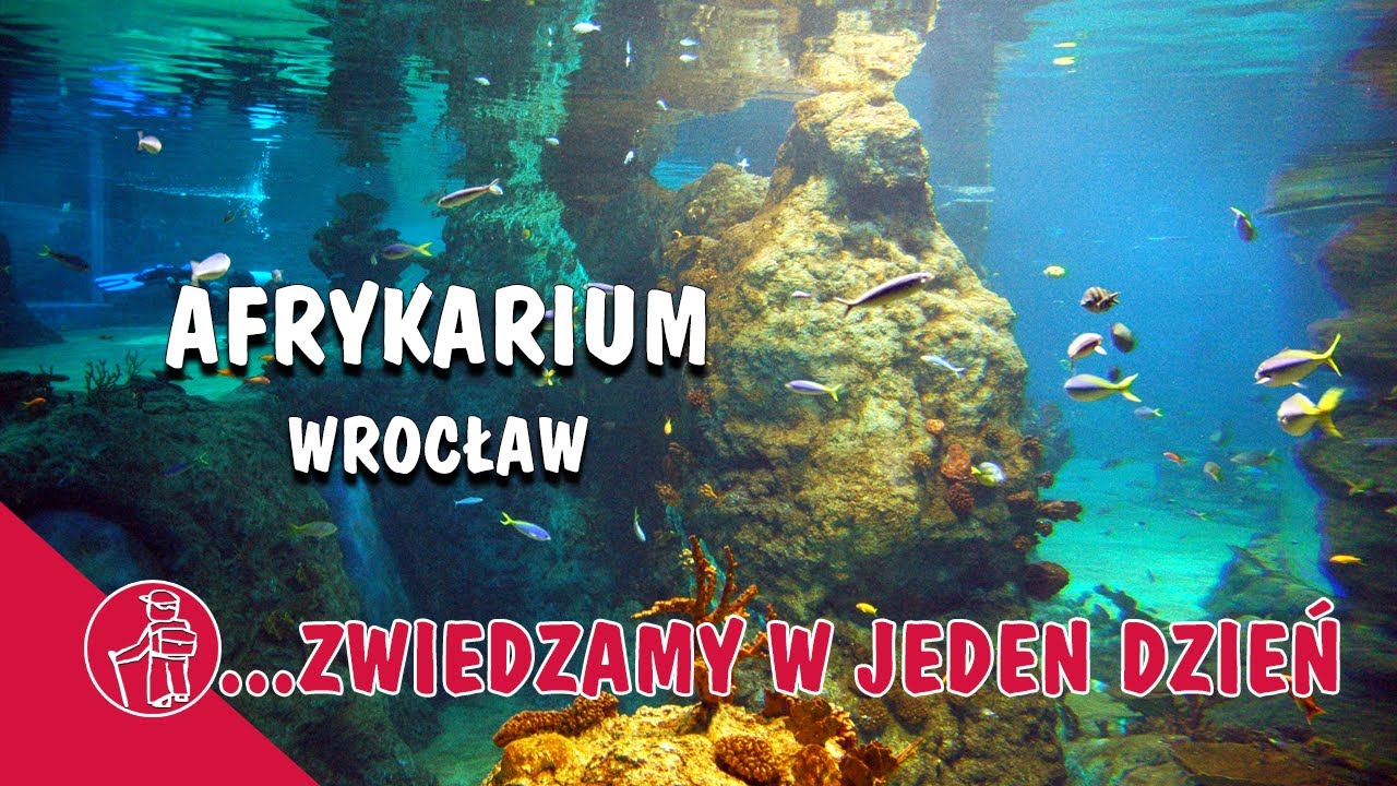 AFRYKARIUM🐟 WROCŁAW - TO WARTO ZOBACZYĆ