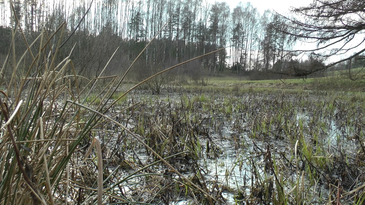 Kołodzieje, k. Sulęczyna Panasonic HDC-SD900