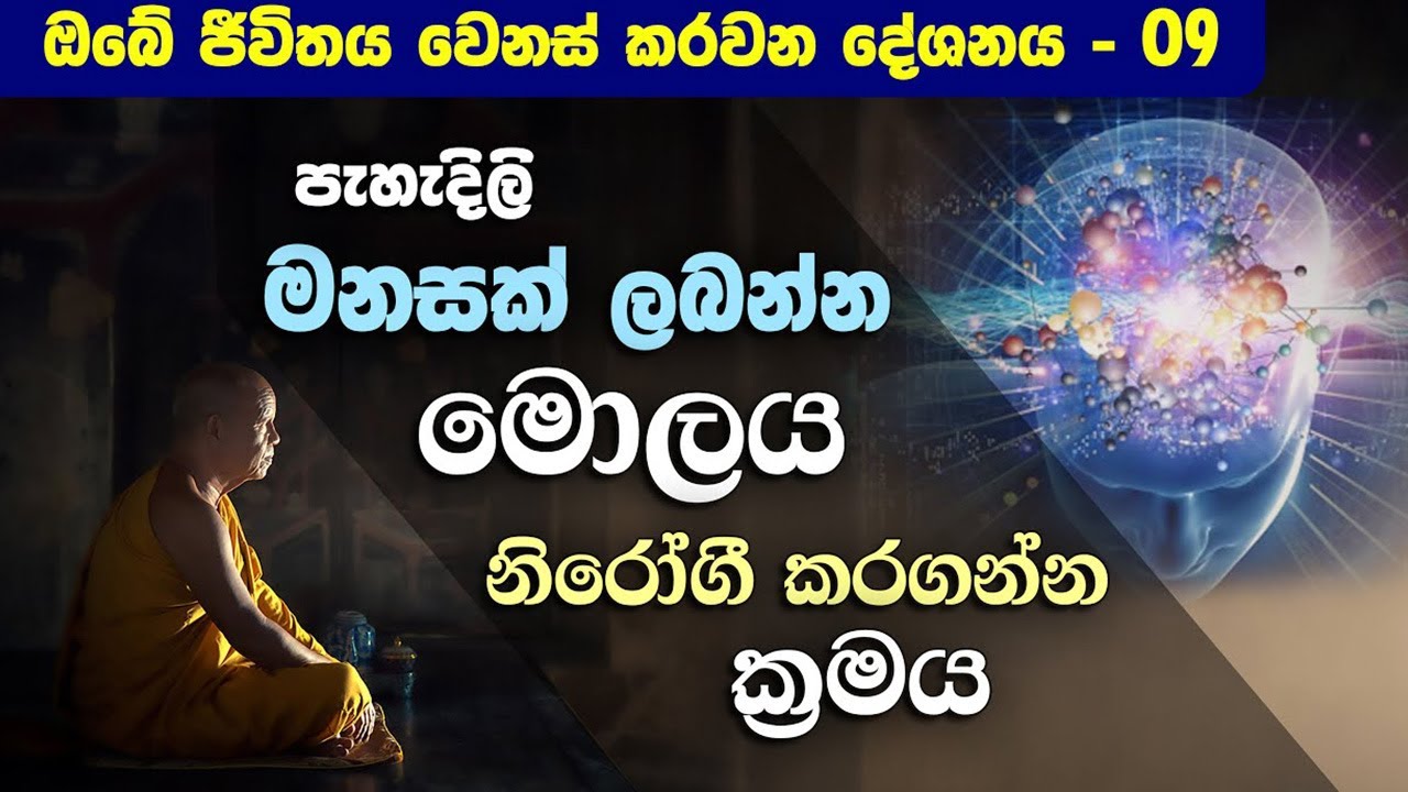 සිහිය වැඩි වෙන්න, මොලය උපකාර වෙන අයුරු… | Niwan Dakimu