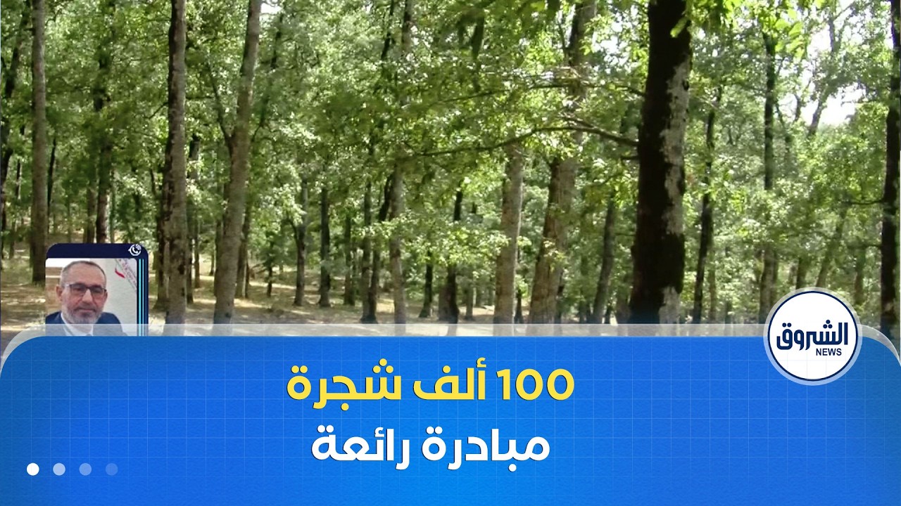 العاشرة| 100 ألف شجرة 
