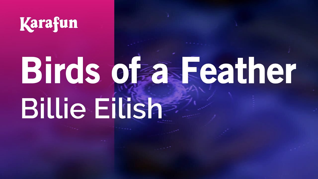 BIRDS OF A FEATHER - Billie Eilish | Karaoke Version | KaraFun
