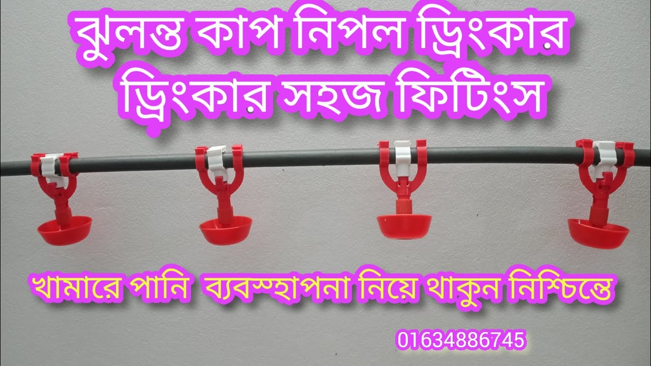 ঝুলন্ত কাপ নিপল ড্রিংকার এখন আরও আধুনিক, দেশ ব্যাপী শুধু মাত্র আমরা সরবরাহ করছি।