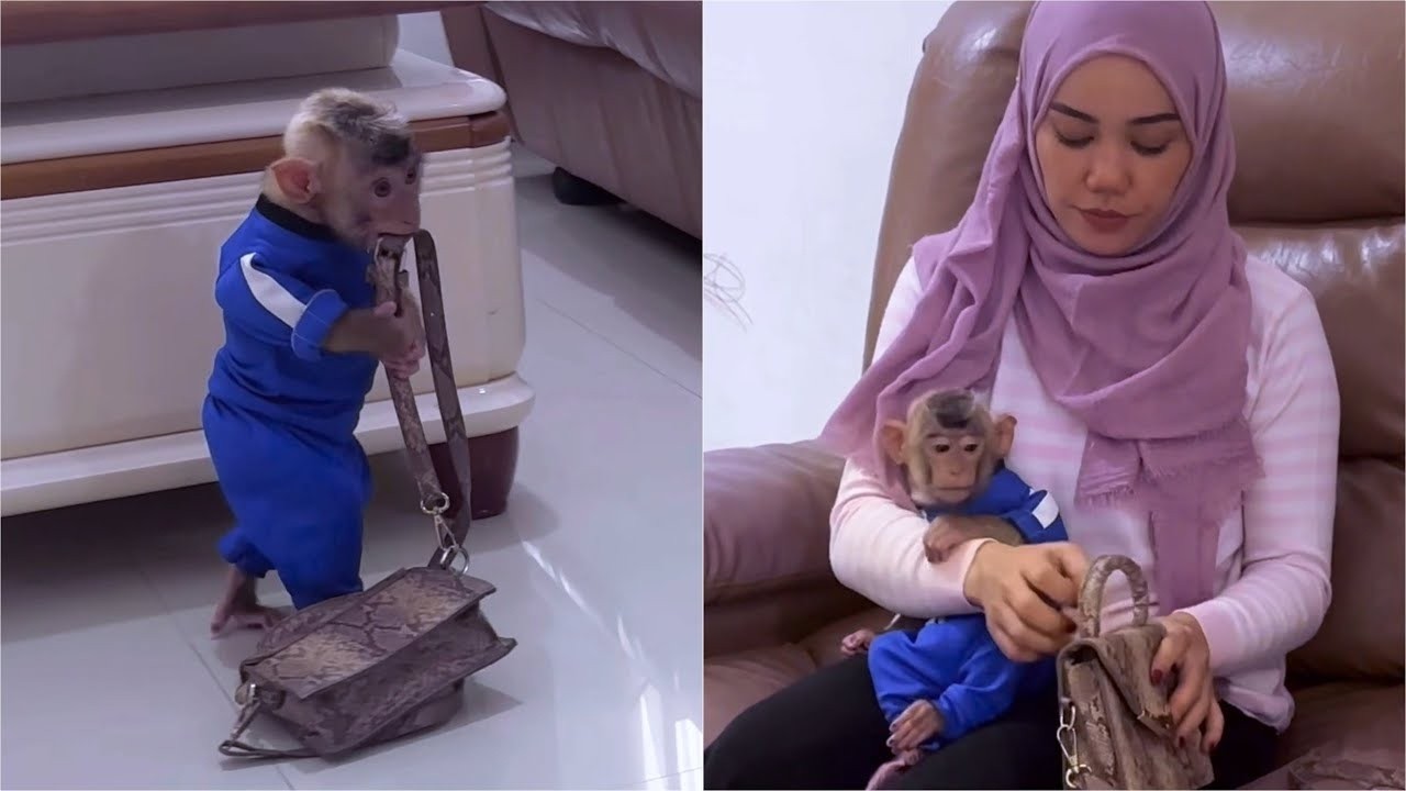 Smart Alpha brought Mommy's purse so she could immediately buy him fresh fruit