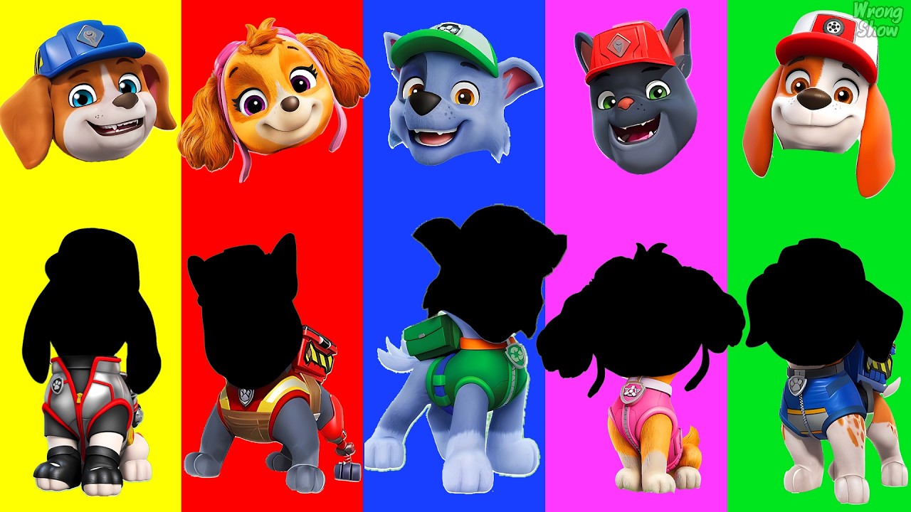 Wrong eyes 👀 Paw Patrol Full Episodes - DAME TU COSITA Funny Puzzle Wrong Heads #48