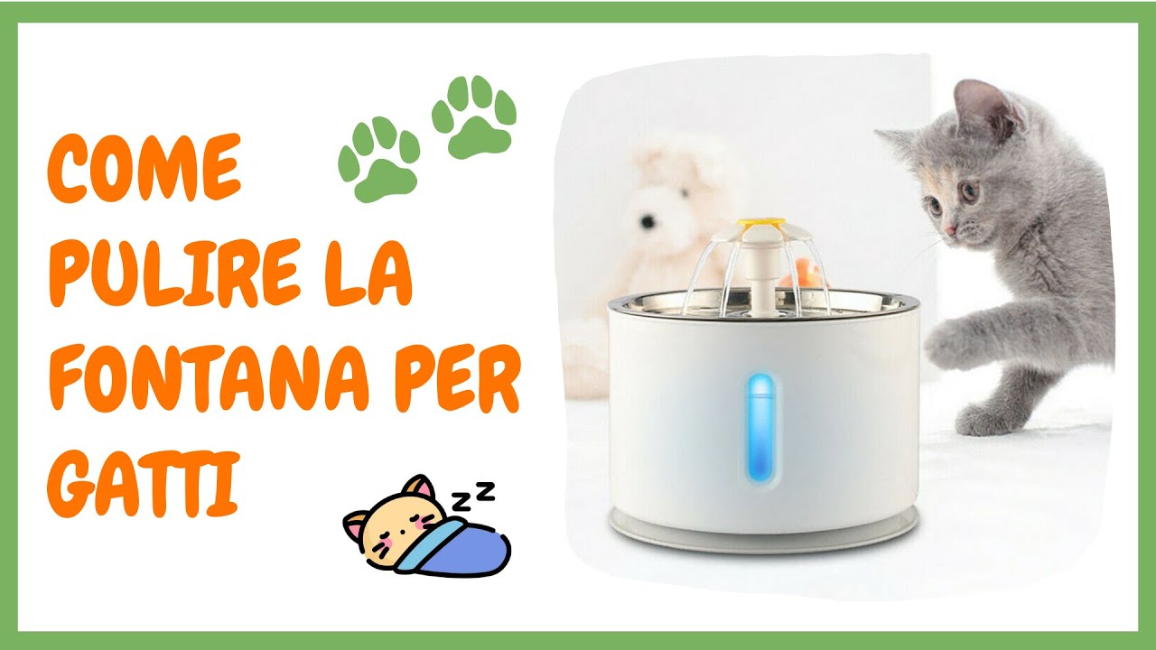 COME PULIRE LA FONTANA PER GATTI 😸😻 - ilgattodormiglione