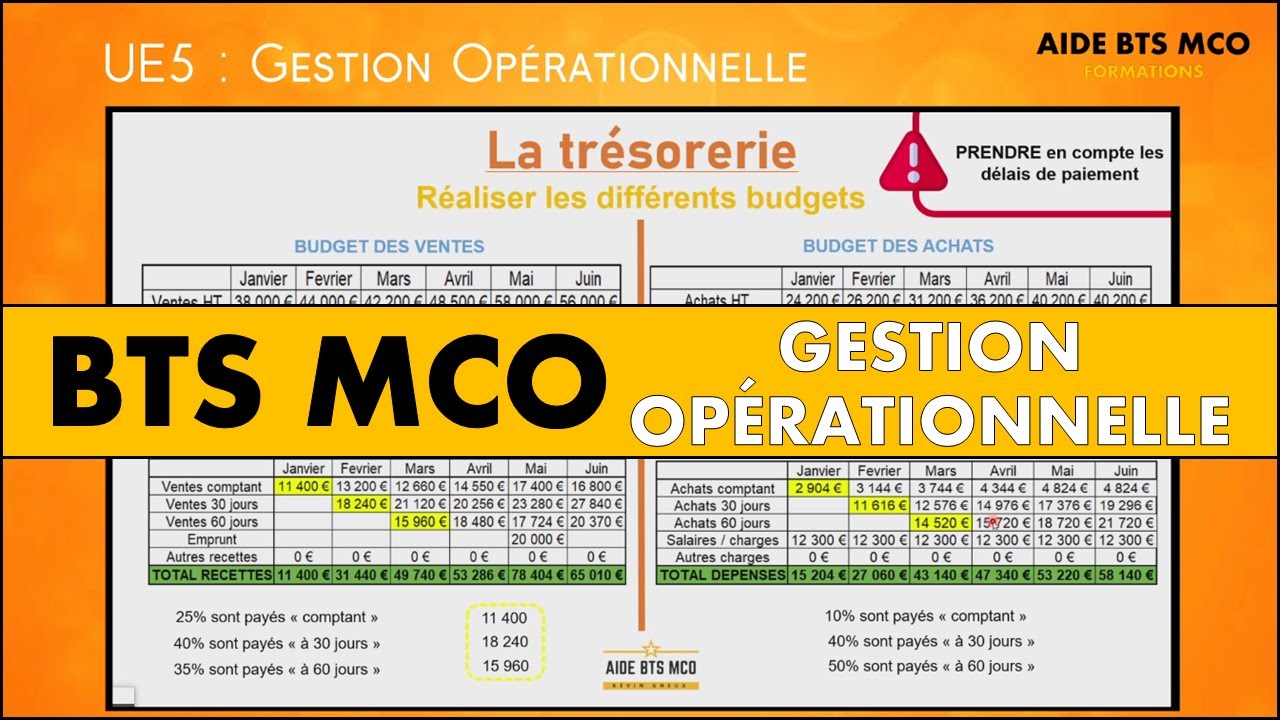 AIDE BTS MCO | R&eacute;aliser les budgets des recettes et des d&eacute;penses | GESTION OP&Eacute;RATIONNELLE