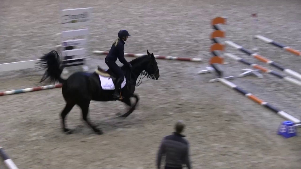 Laura Klaphake  - YRA Jos Lansink clinic - Sentower Park
