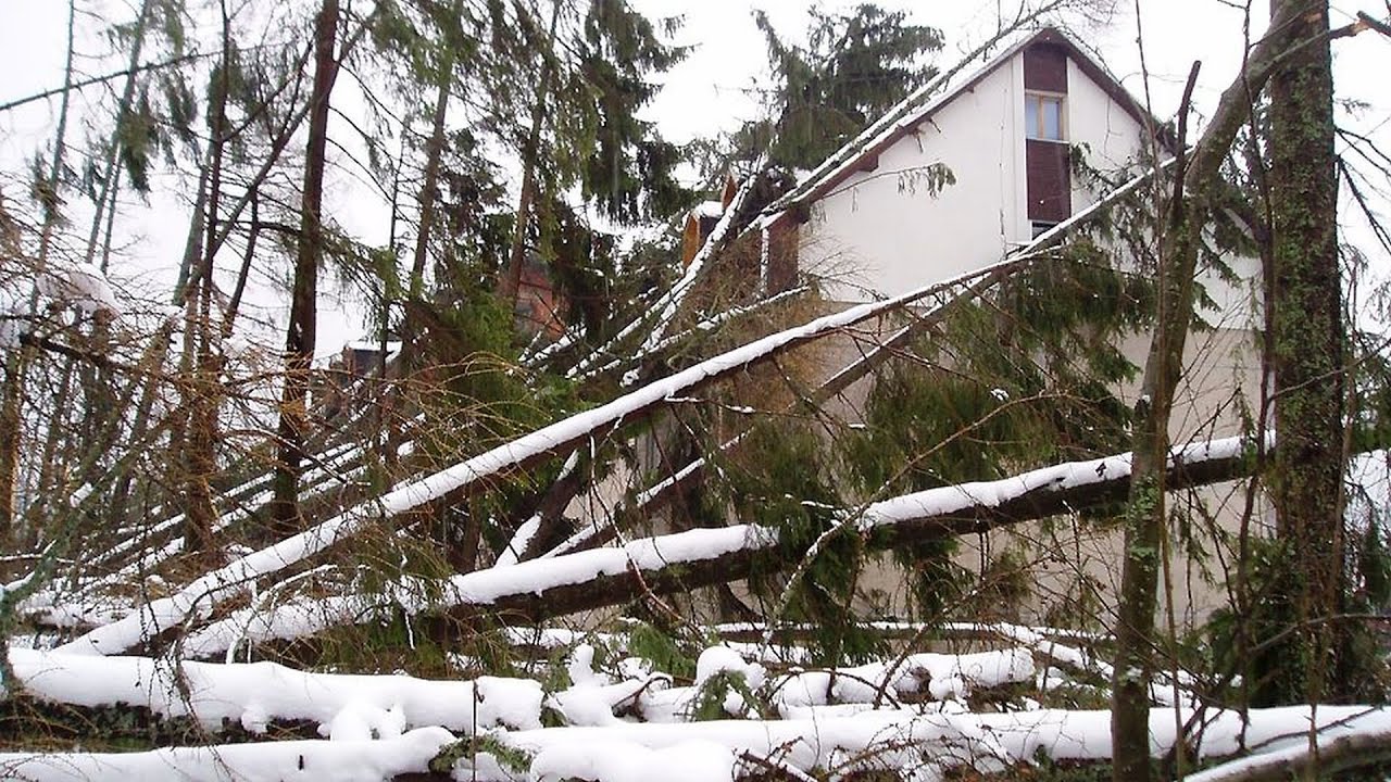 Vysoké Tatry po víchrici z 19. novembra 2004 | High Tatras after windstorm from November 19th, 2004