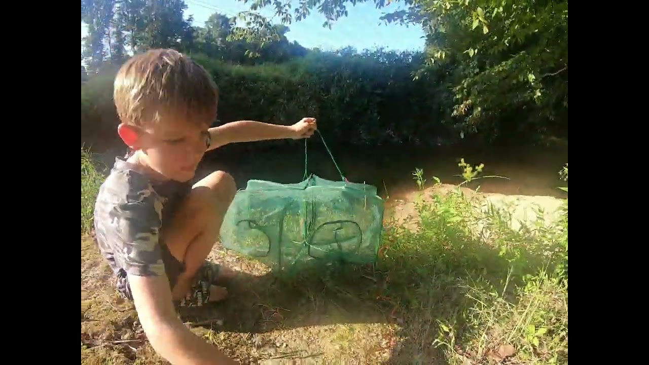Drasry Fish Trap Review