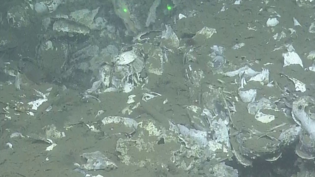 Nautilus Video Bite: Seafloor Sediment