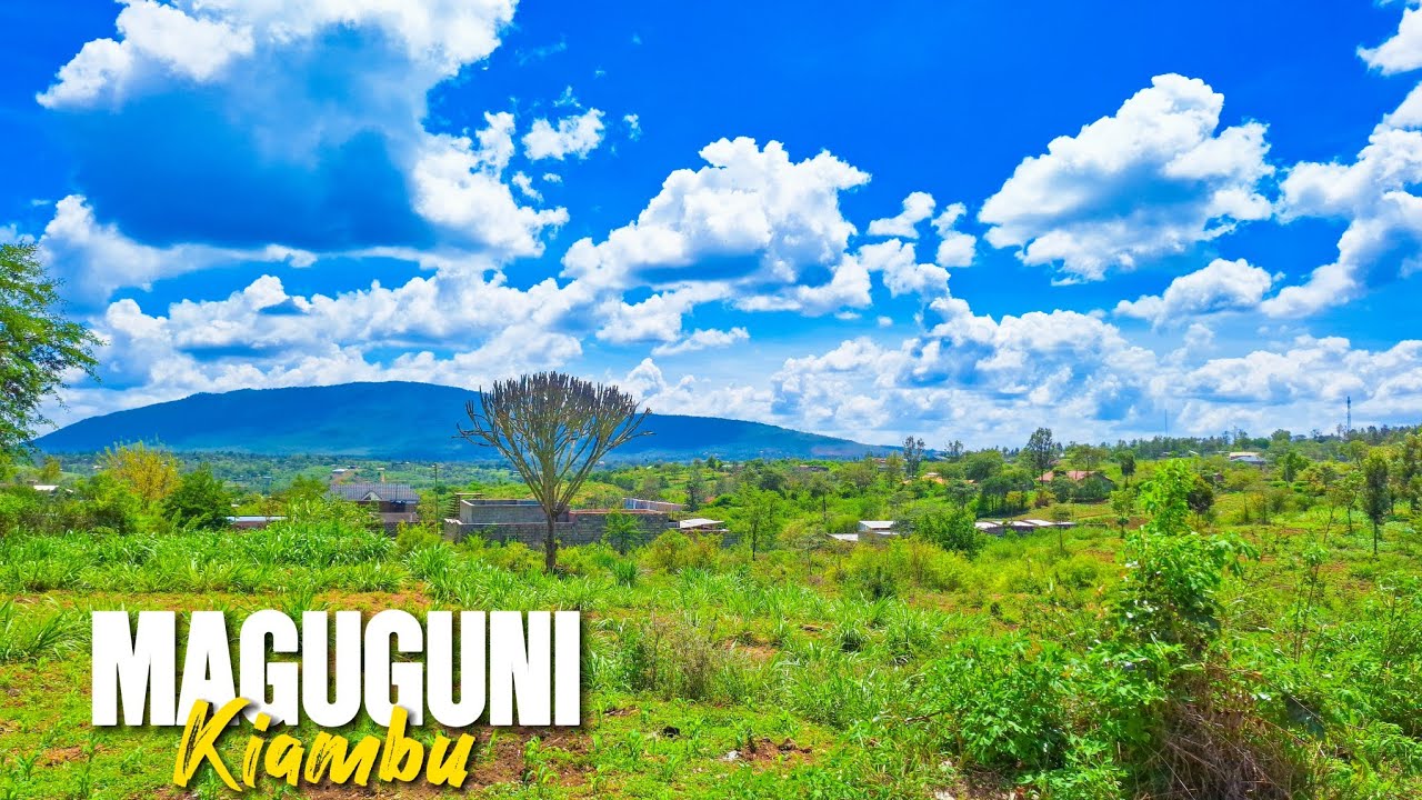 Maguguni: Cheap Land, Beautiful Hills… and Brutal Heat!