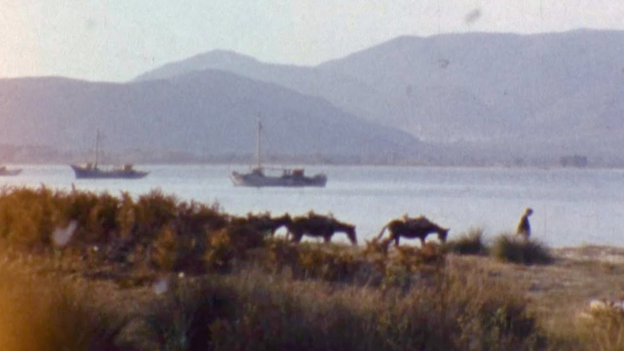 Σταυρός Χαλκιδικής 1975