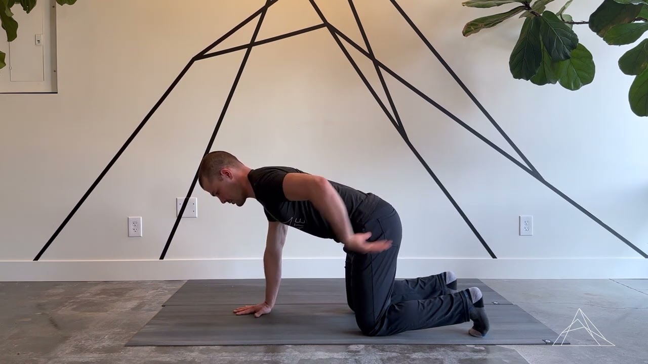 Scap Push Ups