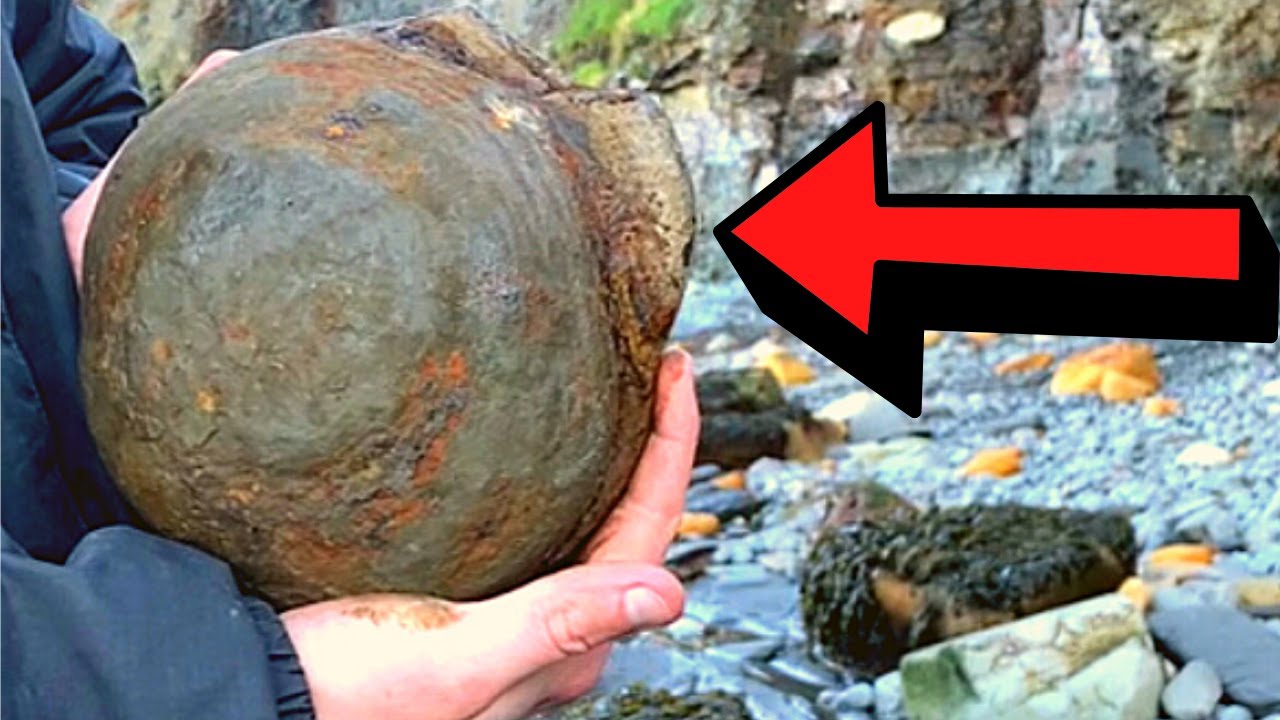 AMMONITE ENCASED IN ROCK - Crazy Fossil Hunt