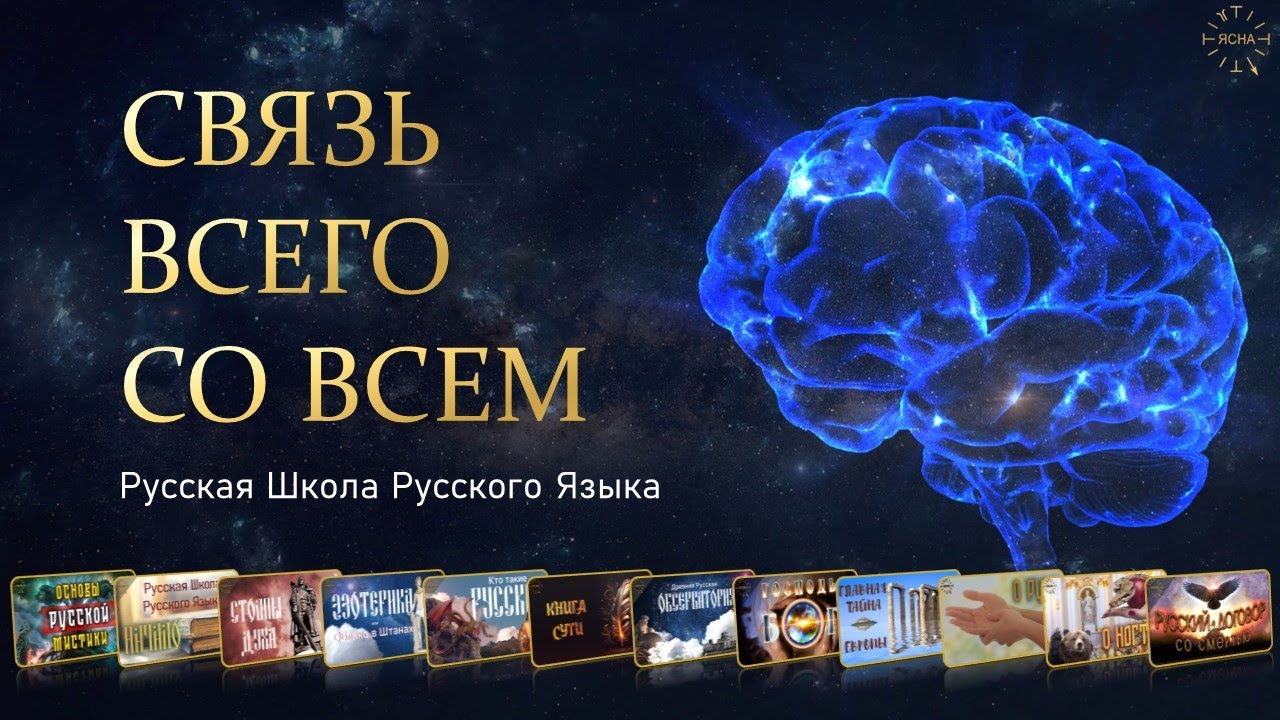 🟢 Прямой эфир. Связь всего со всем. Уроки с 27 по 42. Русская Школа Русского Языка.