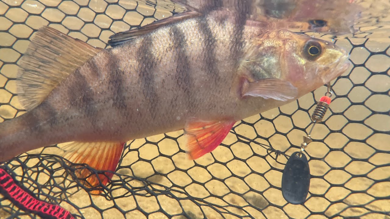 Escape the Ordinary: Adventure into Canoe Fishing in Loch Chon