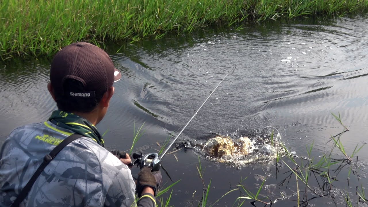 Situasi yang paling ditunggu para pemancing liaran #SG-391