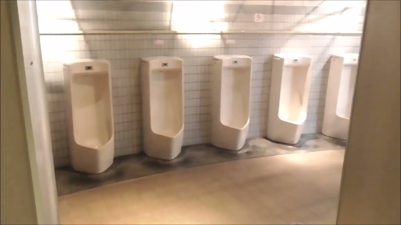 道の駅ゆ～さ浅虫 1F　男性トイレ（青森・青森市）　Water Closet Japanese Toilet　Flush